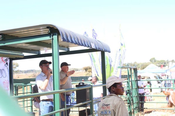 ZNIB-sale-at-ADMA-2024-5