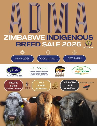 ZHB-ADMA-Indigenous-breeds-sale-cattle