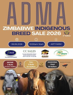 ZHB-ADMA-Indigenous-breeds-sale-cattle