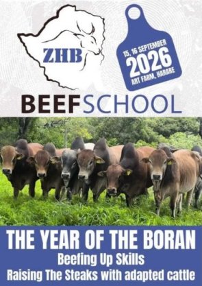 ZHB-Beef-School-2026