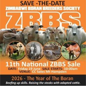 ZHB-Boran-Breeders-sale