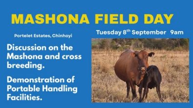 ZHB-Mashona-Field-Day-ad
