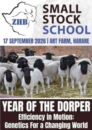 ZHB-Small-Stock-School-2026