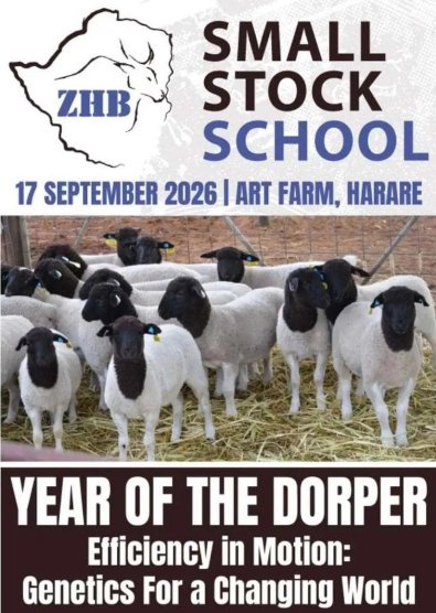ZHB-Small-Stock-School-2026-flyer