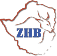 ZHB logo